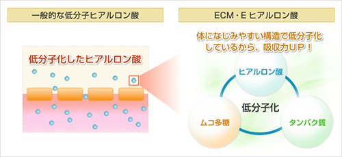 ヒアルロン酸ECM・E