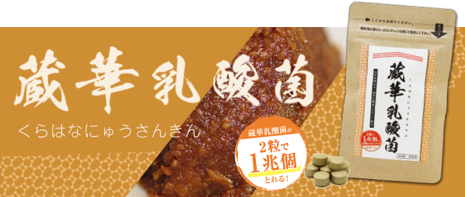 蔵華乳酸菌 LTK-1